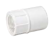 435-010 - 1 Female Adapter PVC Slip X FPT