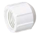 448-007 - 3/4 FPT Cap PVC Threaded