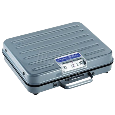 79040 - Platform Scale