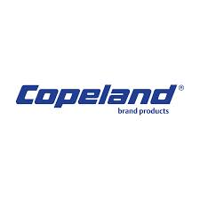 998-0326-02 - 998-0326-02 Copeland Unloader Valve 120V